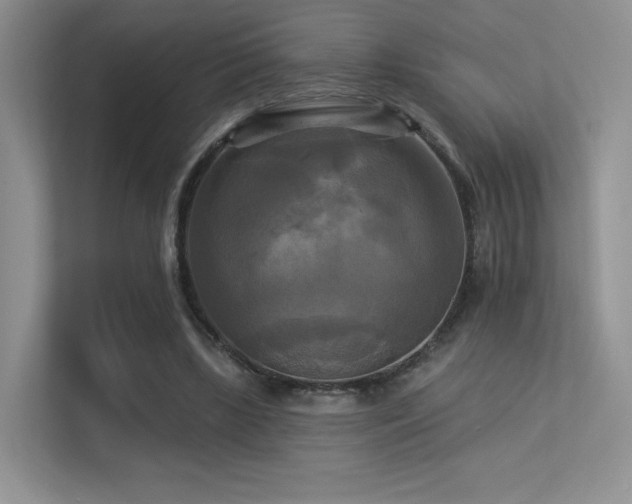 X0000113300443200909141250