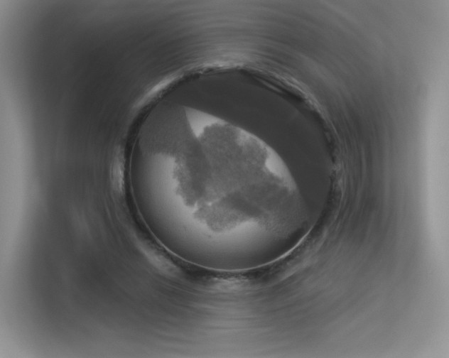 X0000113300446200909141250