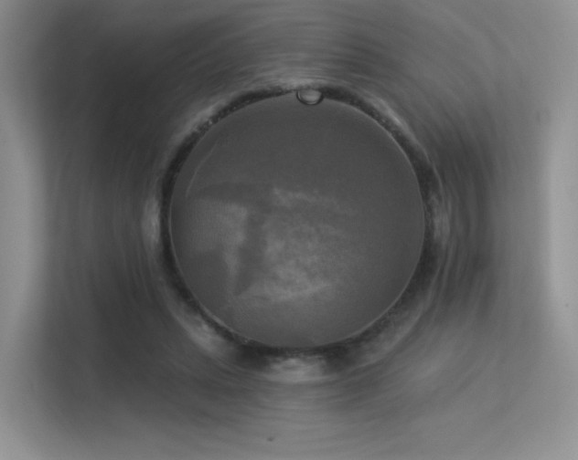 X0000113300447200909141250