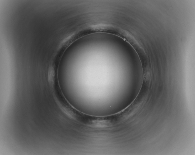 X0000113300448200909141250
