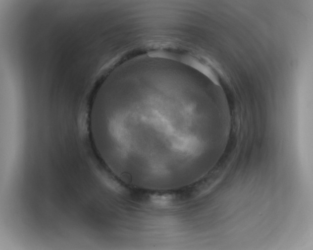 X0000113300450200909141250