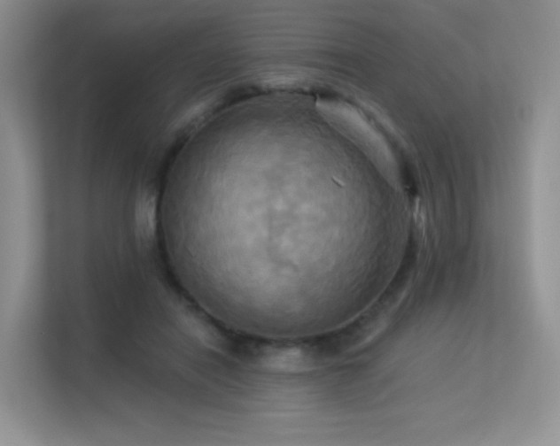 X0000113300454200909141250