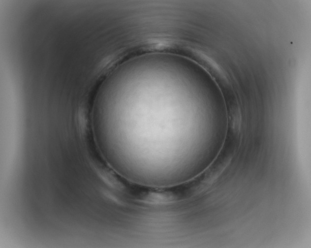 X0000113300455200909141250