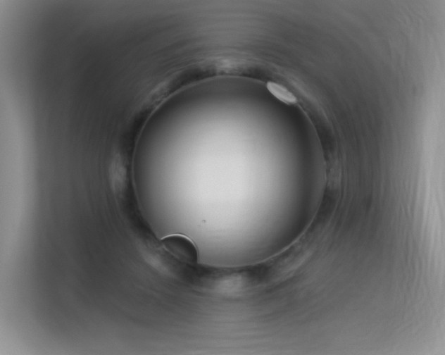 X0000113300456200909141250