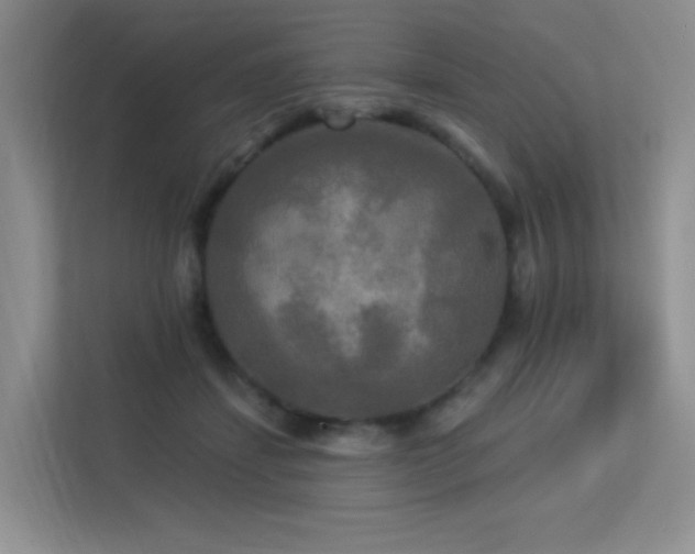 X0000113300459200909141250