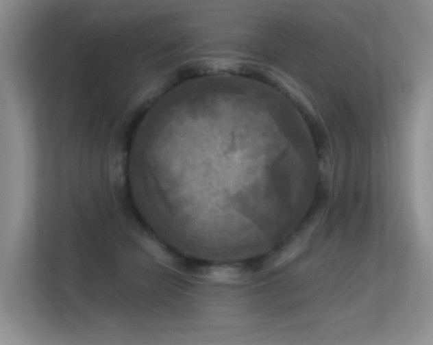 X0000113300462200909141250
