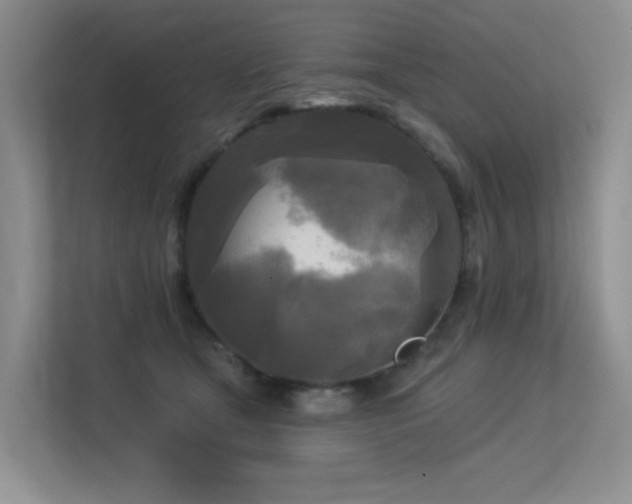 X0000113300465200909141251