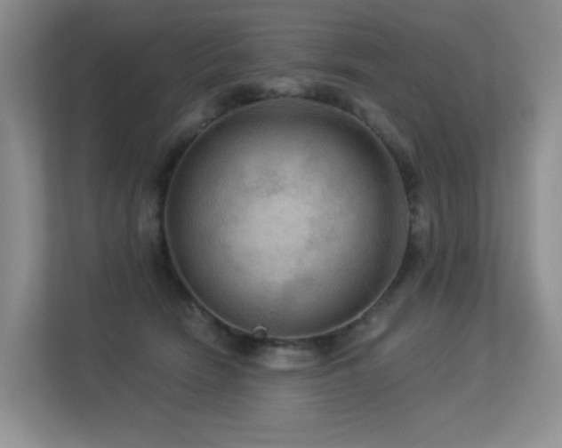 X0000113300466200909141251