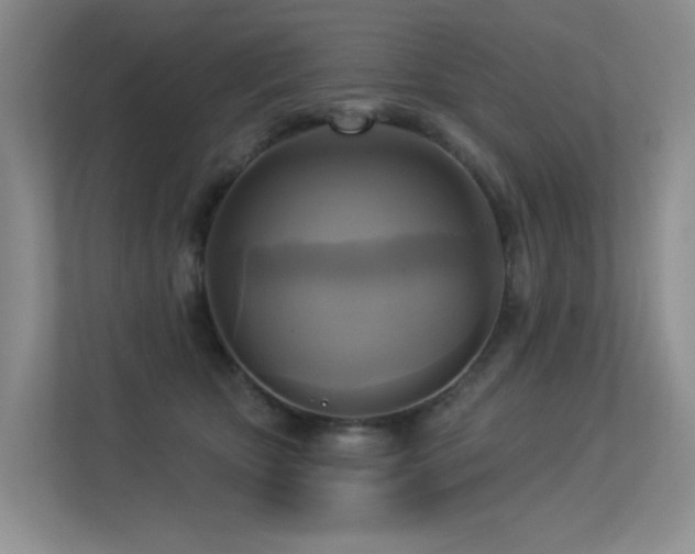 X0000113300467200909141251