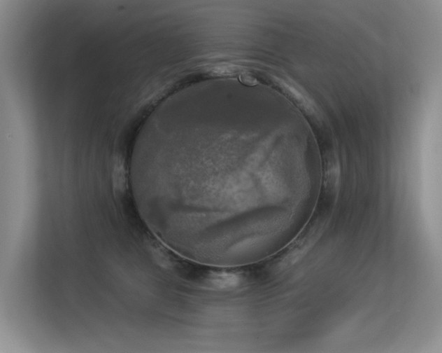 X0000113300469200909141251