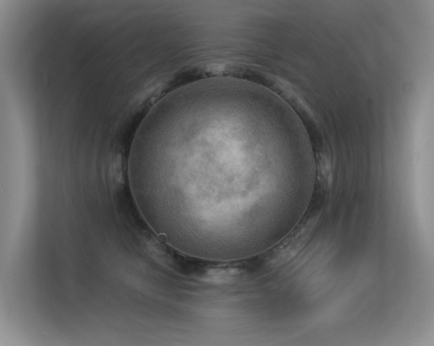 X0000113300470200909141251