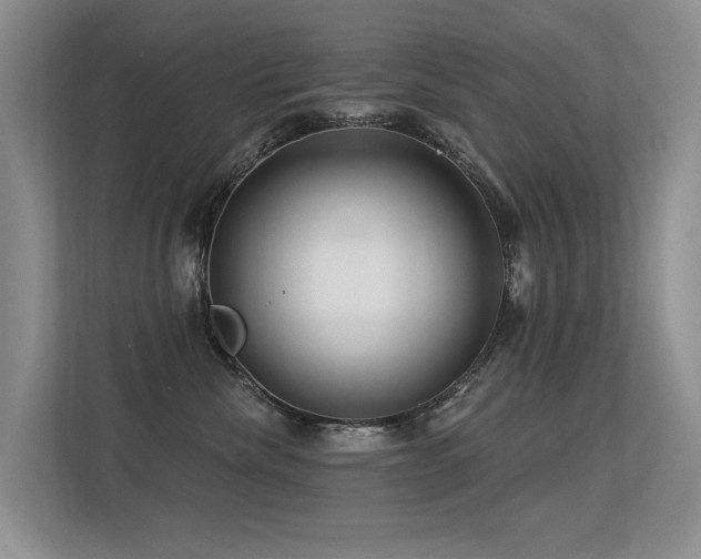 X0000113300476200909141251