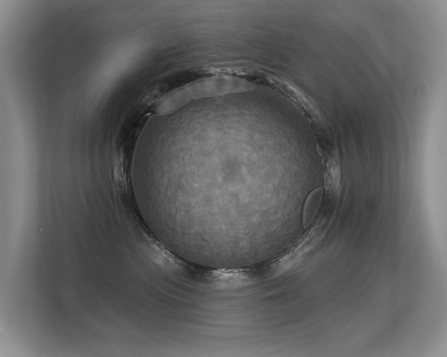 X0000113300477200909141251