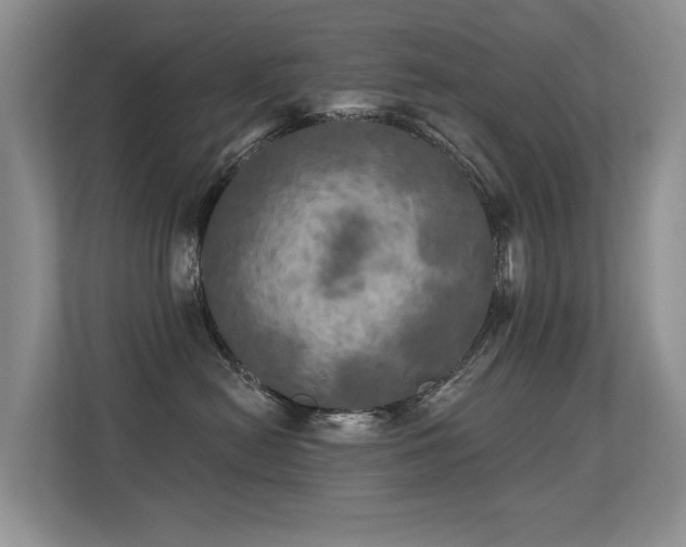 X0000113300478200909141251