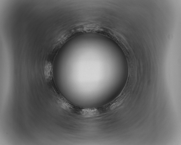 X0000113300480200909141251