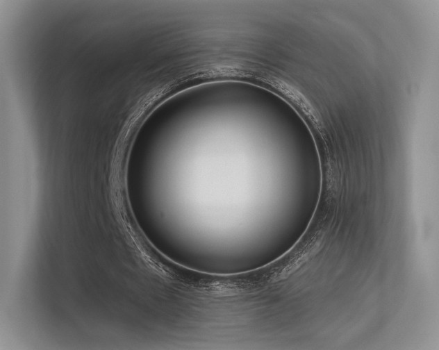 X0000113300481200909141250