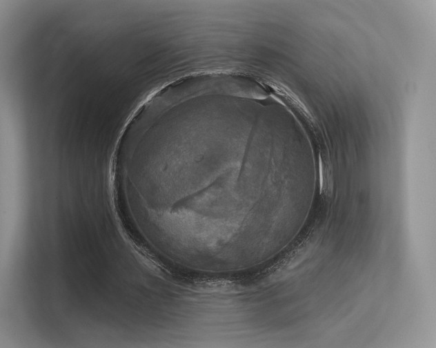 X0000113300483200909141250