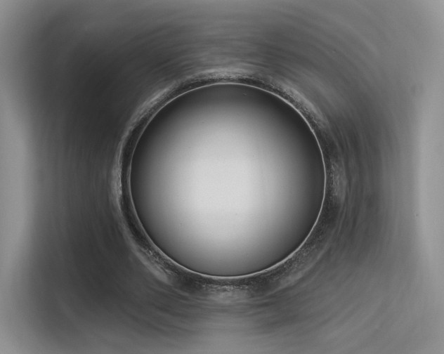 X0000113300486200909141250