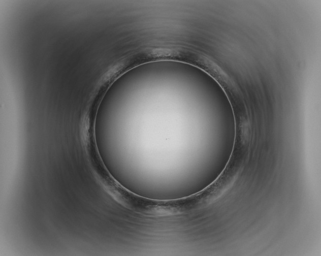 X0000113300490200909141250