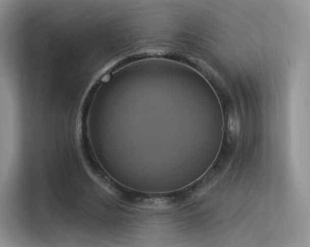 X0000113300492200909141250