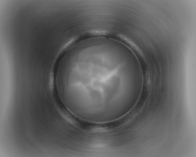 X0000113300494200909141250