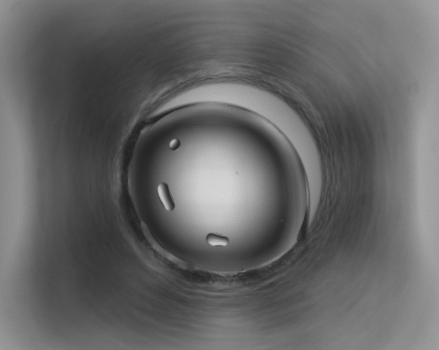 X0000113300496200909141250