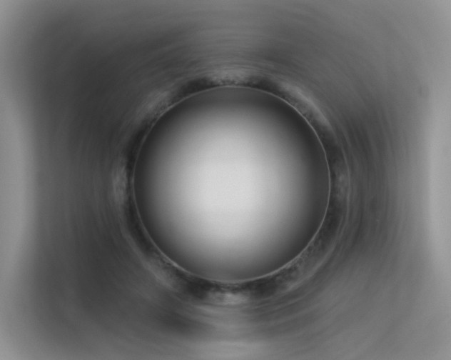 X0000113300498200909141250