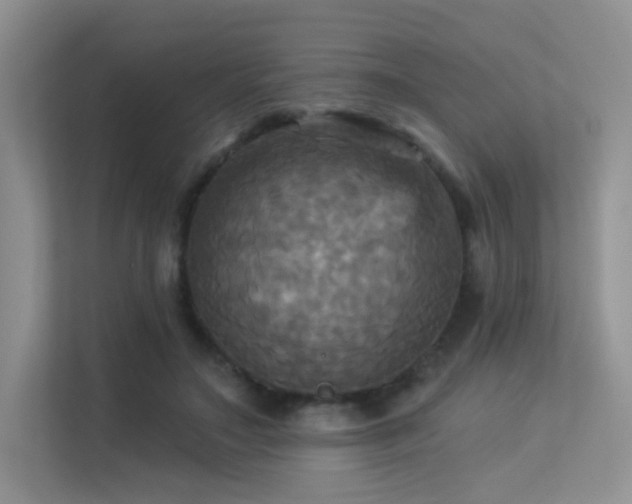 X0000113300499200909141250