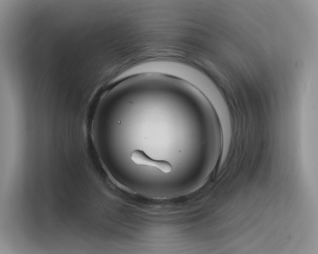 X0000113300500200909141250