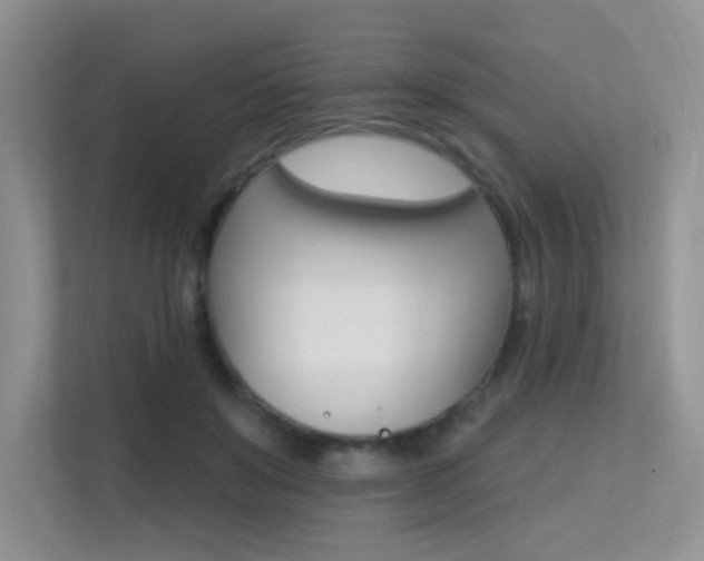 X0000113300503200909141250