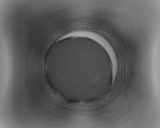 X0000113300504200909141250
