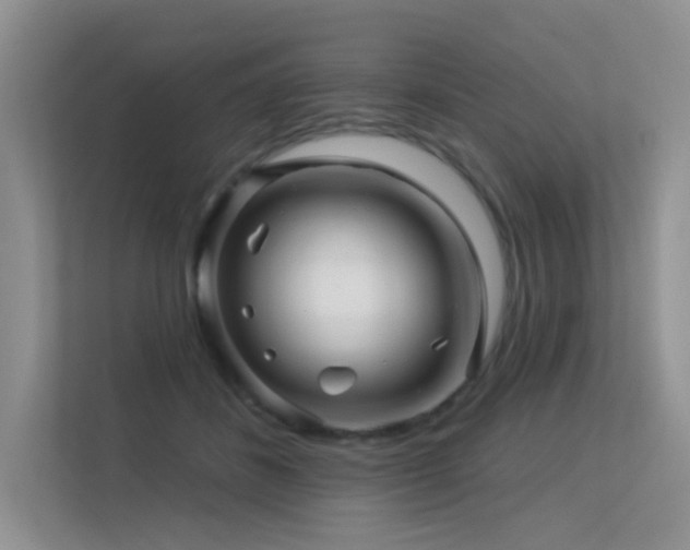 X0000113300508200909141250