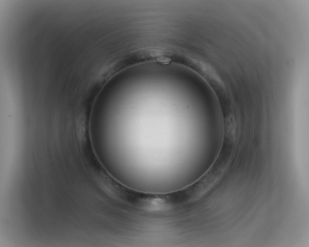 X0000113300509200909141250