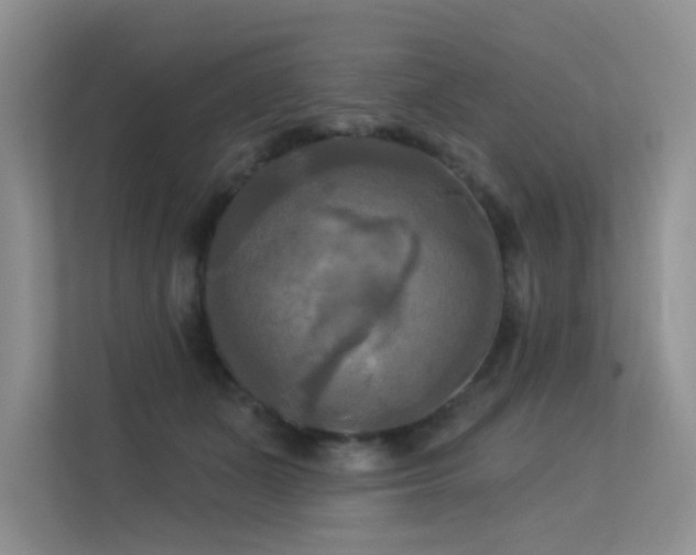 X0000113300511200909141250