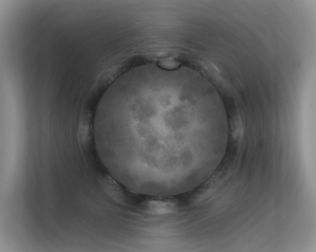 X0000113300515200909141250