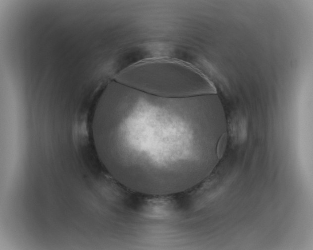 X0000113300516200909141250