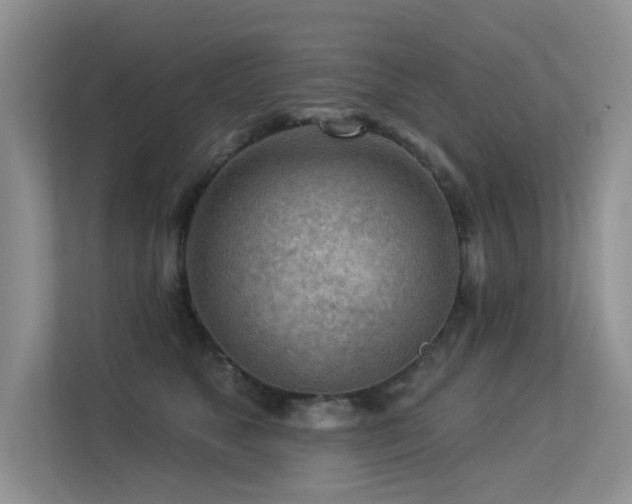 X0000113300517200909141250