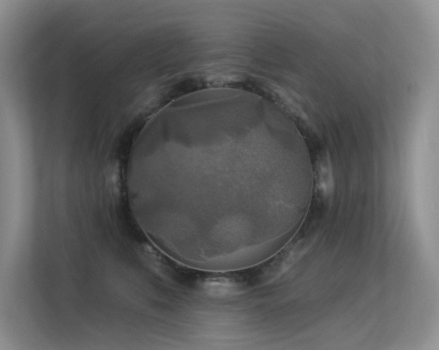 X0000113300519200909141250