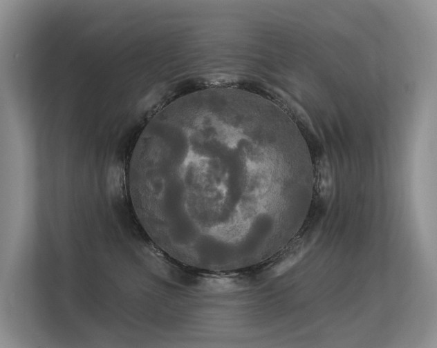 X0000113300523200909141250