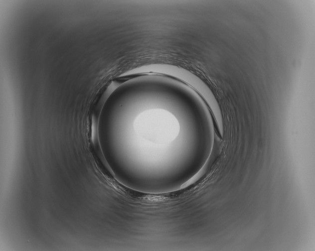 X0000113300528200909141249