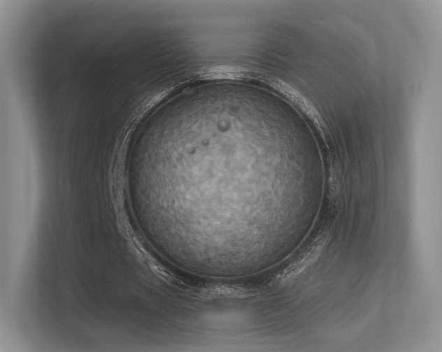 X0000113300529200909141249