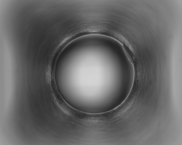 X0000113300530200909141249