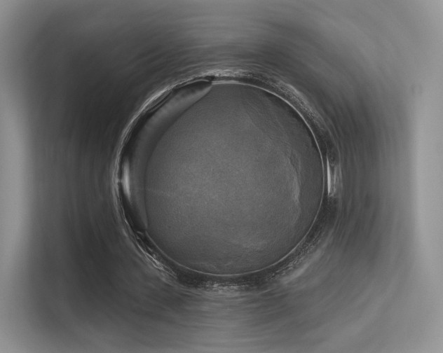 X0000113300531200909141249