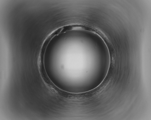 X0000113300532200909141249