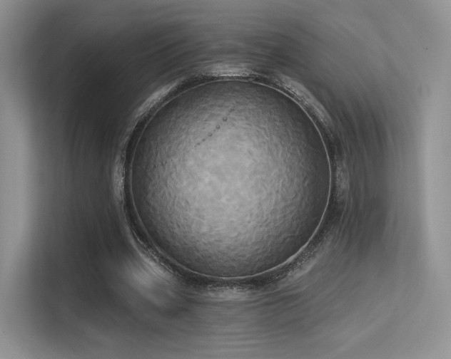 X0000113300533200909141249