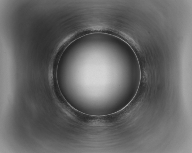 X0000113300535200909141249