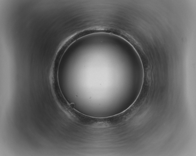 X0000113300536200909141249