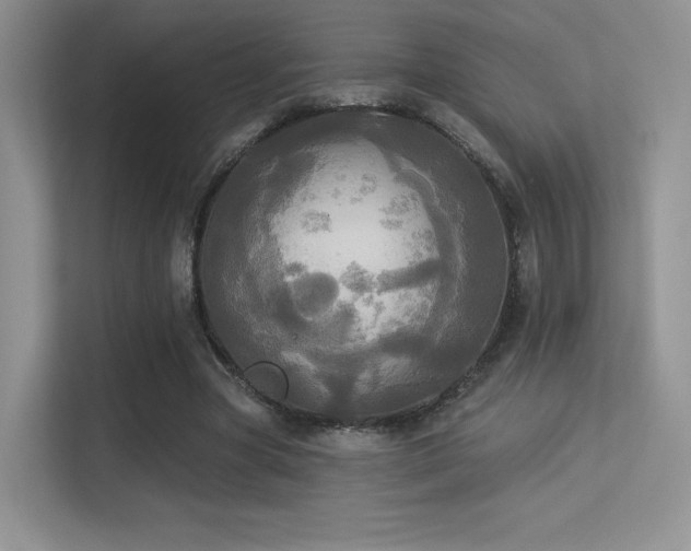 X0000113300537200909141249