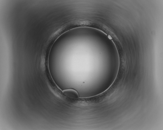 X0000113300538200909141249