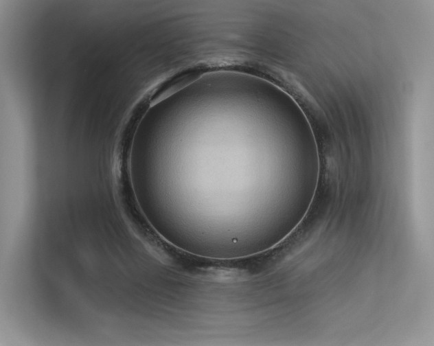 X0000113300539200909141249